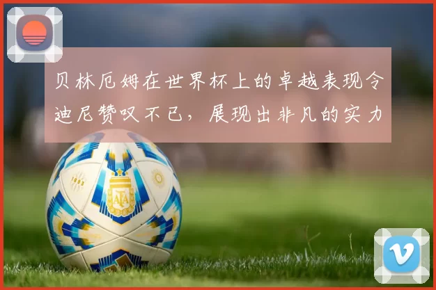 贝林厄姆在世界杯上的卓越表现令迪尼赞叹不已，展现出非凡的实力与魅力